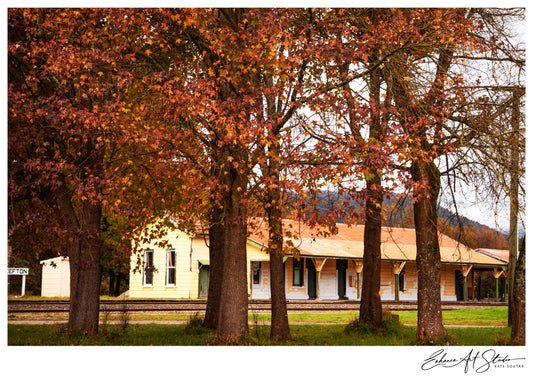 Take me to the train station